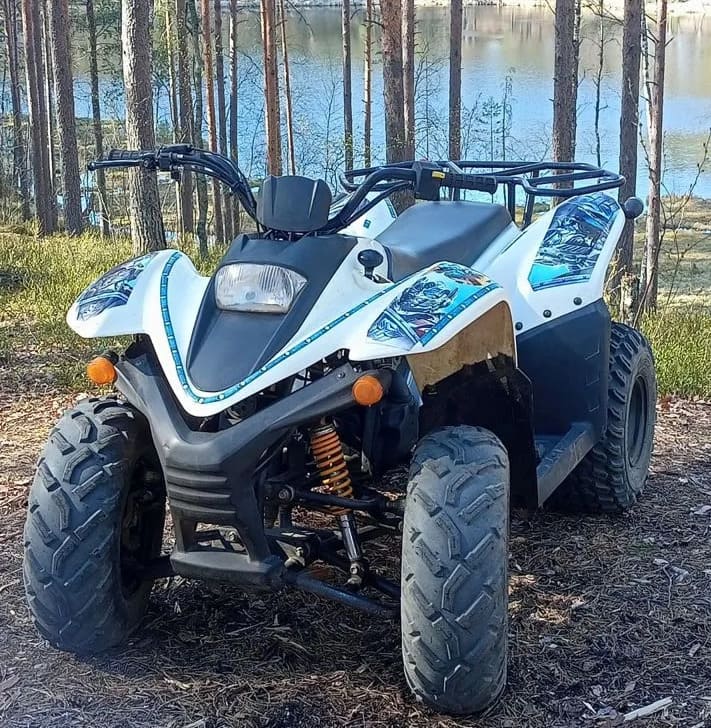 Купить Квадроцикл BALTMOTORS Jam 100 Б/У