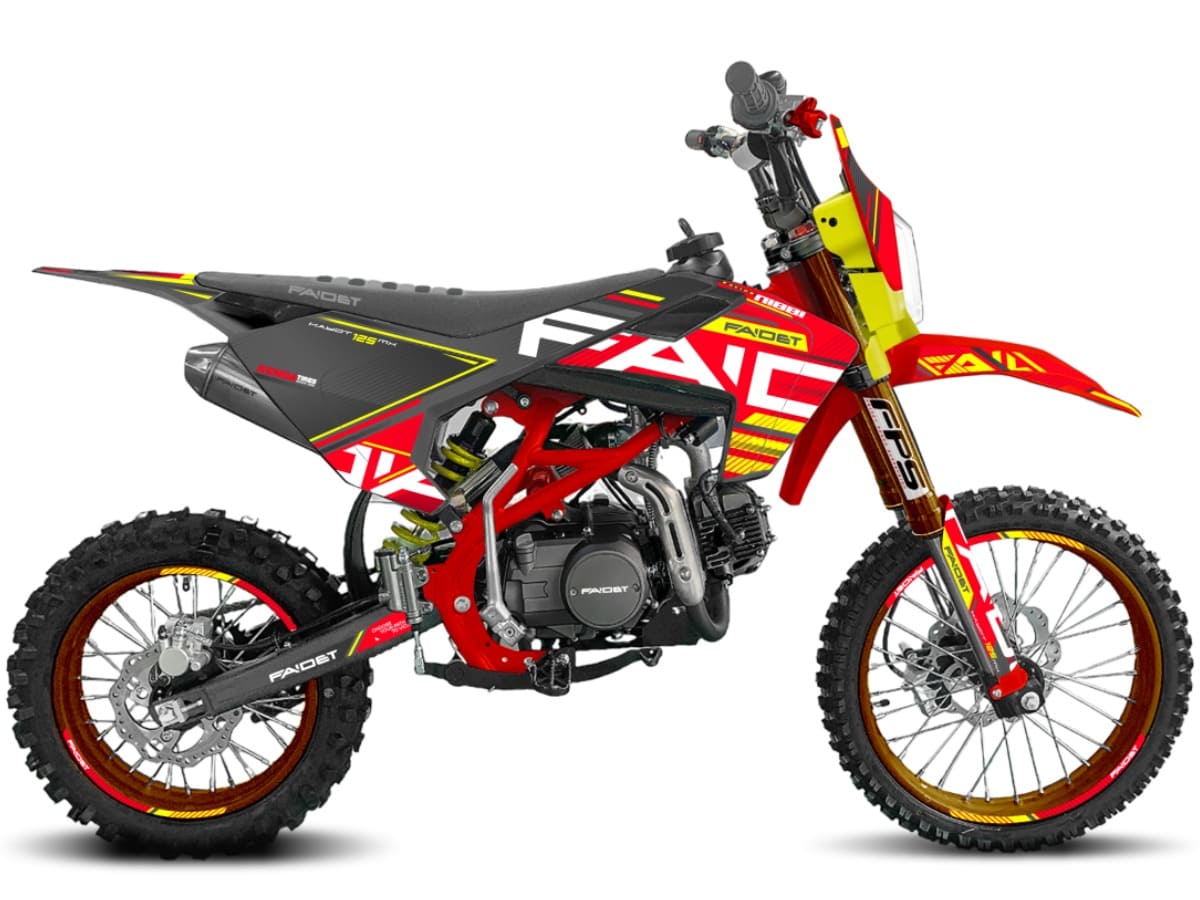 Купить Мотоцикл FAIDET KAYOT 150E-PRO 19/16 PITBIKE